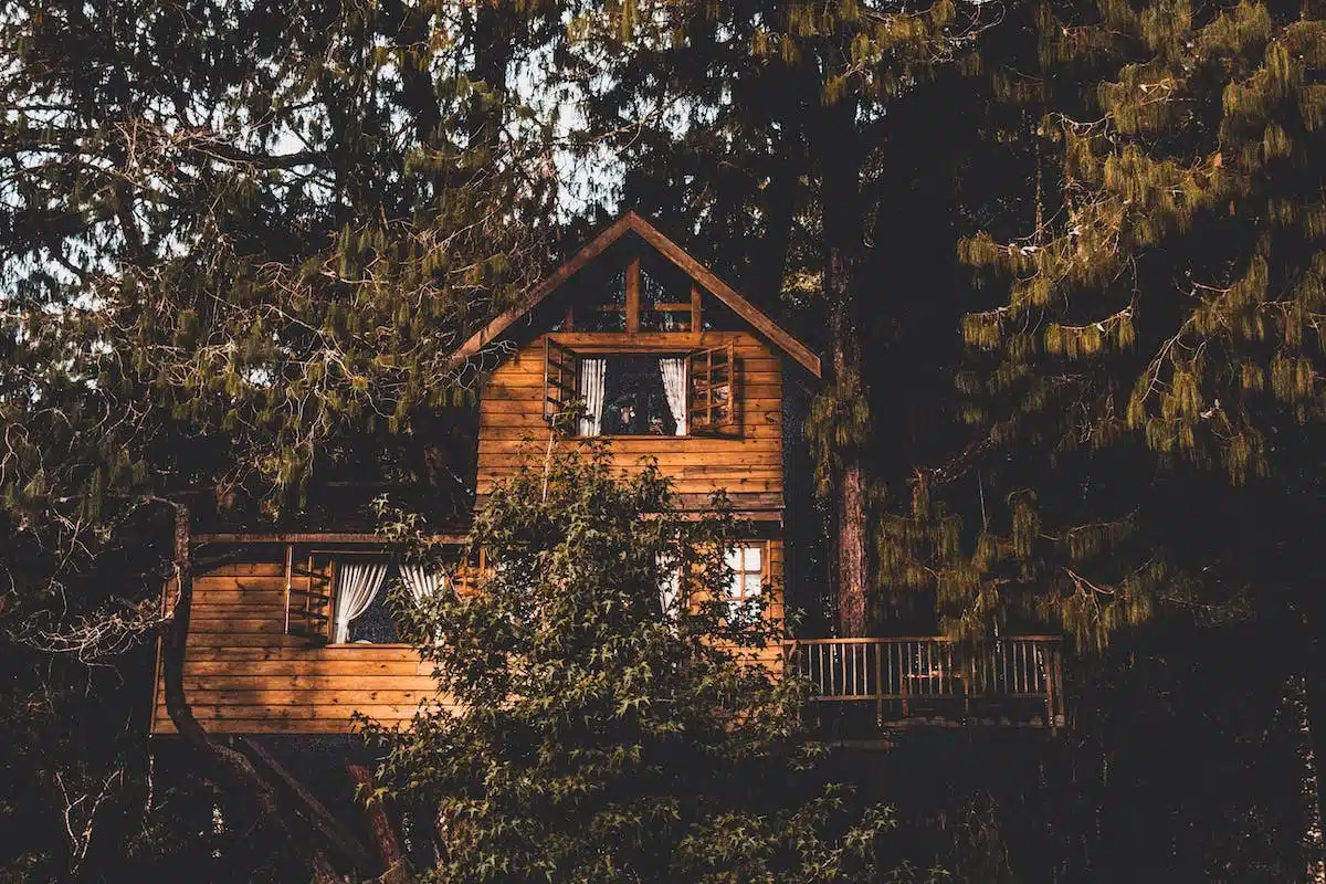 cabane arbre