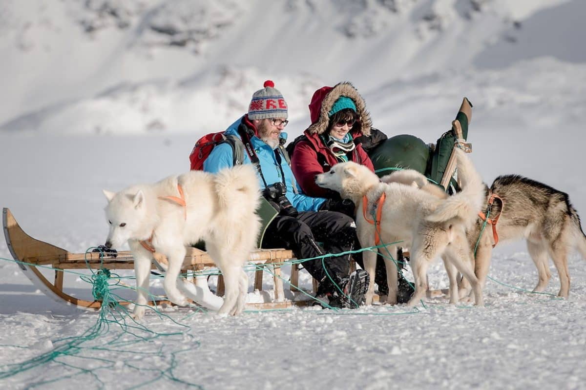 Comment fonctionne un traîneau à chiens au Groenland ?