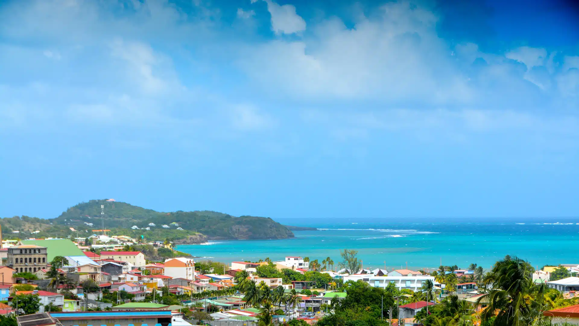 Découvrez la beauté de la Martinique vue de la route...