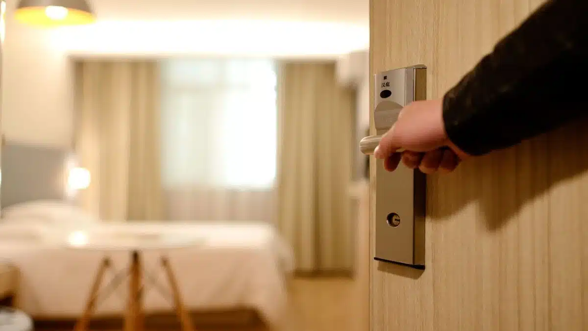 Les méthodes les plus innovantes pour éradiquer les punaises de lit dans les hôtels
