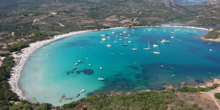 aerial view of people on beach during daytime